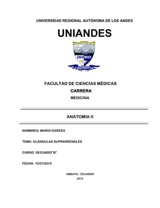 UNIVERSIDAD REGIONAL AUTÓNOMA DE LOS ANDES
UNIANDES
FACULTAD DE CIENCIAS MÉDICAS
CARRERA
MEDICINA
ANATOMIA II
NOMBRES: MARIO GARCES
TEMA: GLÁNDULAS SUPRARRENALES
CURSO: SEGUNDO“B”
FECHA: 15/07/2015
AMBATO – ECUADOR
2015
 