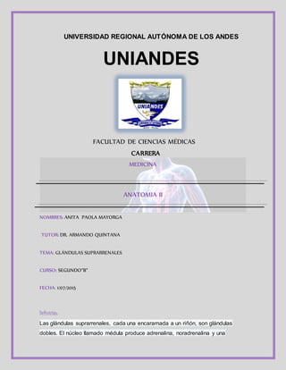 UNIVERSIDAD REGIONAL AUTÓNOMA DE LOS ANDES
UNIANDES
FACULTAD DE CIENCIAS MÉDICAS
CARRERA
MEDICINA
ANATOMIA II
NOMBRES: ANITA PAOLA MAYORGA
TUTOR: DR. ARMANDO QUINTANA
TEMA: GLÁNDULAS SUPRARRENALES
CURSO: SEGUNDO“B”
FECHA: 1/07/2015
Definición:
Las glándulas suprarrenales, cada una encaramada a un riñón, son glándulas
dobles. El núcleo llamado médula produce adrenalina, noradrenalina y una
 