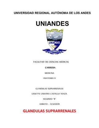 UNIVERSIDAD REGIONAL AUTÓNOMA DE LOS ANDES
UNIANDES
FACULTAD DE CIENCIAS MÉDICAS
CARRERA
MEDICINA
ANATOMIA II
GLANDULAS SUPRARRENALES
LISSETTE CRISTINA CASTILLO TOAZA
SEGUNDO "B"
AMBATO – ECUADOR
GLANDULAS SUPRARRENALES
 