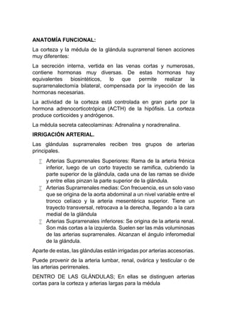 ANATOMÍA FUNCIONAL:
La corteza y la médula de la glándula suprarrenal tienen acciones
muy diferentes:
La secreción interna, vertida en las venas cortas y numerosas,
contiene hormonas muy diversas. De estas hormonas hay
equivalentes biosintéticos, lo que permite realizar la
suprarrenalectomía bilateral, compensada por la inyección de las
hormonas necesarias.
La actividad de la corteza está controlada en gran parte por la
hormona adrenocorticotrópica (ACTH) de la hipófisis. La corteza
produce corticoides y andrógenos.
La médula secreta catecolaminas: Adrenalina y noradrenalina.
IRRIGACIÓN ARTERIAL.
Las glándulas suprarrenales reciben tres grupos de arterias
principales.
 Arterias Suprarrenales Superiores: Rama de la arteria frénica
inferior, luego de un corto trayecto se ramifica, cubriendo la
parte superior de la glándula, cada una de las ramas se divide
y entre ellas pinzan la parte superior de la glándula.
 Arterias Suprarrenales medias: Con frecuencia, es un solo vaso
que se origina de la aorta abdominal a un nivel variable entre el
tronco celíaco y la arteria mesentérica superior. Tiene un
trayecto transversal, retrocava a la derecha, llegando a la cara
medial de la glándula
 Arterias Suprarrenales inferiores: Se origina de la arteria renal.
Son más cortas a la izquierda. Suelen ser las más voluminosas
de las arterias suprarrenales. Alcanzan el ángulo inferomedial
de la glándula.
Aparte de estas, las glándulas están irrigadas por arterias accesorias.
Puede provenir de la arteria lumbar, renal, ovárica y testicular o de
las arterias perirrenales.
DENTRO DE LAS GLÁNDULAS; En ellas se distinguen arterias
cortas para la corteza y arterias largas para la médula
 