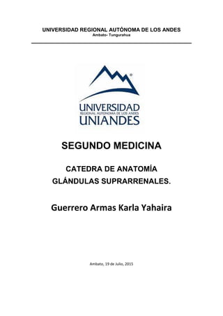 UNIVERSIDAD REGIONAL AUTÓNOMA DE LOS ANDES
Ambato- Tungurahua
SEGUNDO MEDICINA
CATEDRA DE ANATOMÍA
GLÁNDULAS SUPRARRENALES.
Guerrero Armas Karla Yahaira
Ambato, 19 de Julio, 2015
 
