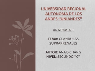 UNIVERSIDAD REGIONAL
AUTONOMA DE LOS
ANDES “UNIANDES”
ANATOMIA II
TEMA: GLANDULAS
SUPRARRENALES
AUTOR: ANAIS CHANG
NIVEL: SEGUNDO “C”
 