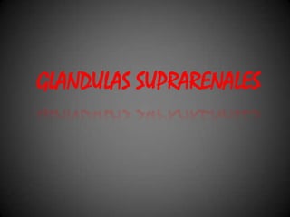 GLANDULAS SUPRARENALES 