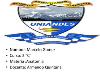 • Nombre: Marcelo Gomez
• Curso: 2 ”C”
• Materia :Anatomia
• Docente: Armando Quintana
 