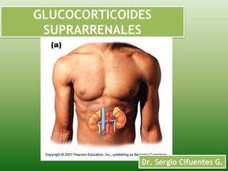 GLUCOCORTICOIDES 
SUPRARRENALES 
Dr. Sergio Cifuentes G. 
 