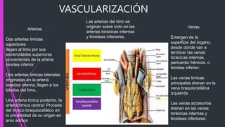 VASCULARIZACIÓN
Arterias
Dos arterias timicas
superiores:
llegan al timo por sus
extremidades superiores
provenientes de la arteria
tiroidea inferior.
Dos arterias timicas laterales:
originadas en la arteria
torácica interna, llegan a los
lóbulos del timo,
Una arteria timica posterior, la
arteria timica central: Procede
del tronco braquiocefálico en
lo proximidad de su origen en
arco aórtico
Las arterias del timo se
originan sobre todo en las
arterias torácicas internas
y tiroideas inferiores.
Venas
Emergen de la
superficie del órgano,
desde donde van a
terminar las venas
torácicas internas,
pericardio frénicos. o
tiroidea inferior:
Las venas timicas
principales drenan en la
vena braquiocefálica
izquierda
Las venas accesorios
drenan en las venas
torácicas internas y
tiroideas inferiores.
 