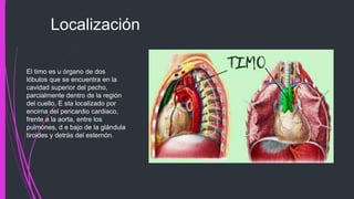 Localización
El timo es u órgano de dos
lóbulos que se encuentra en la
cavidad superior del pecho,
parcialmente dentro de la región
del cuello. E sta localizado por
encima del pericardio cardiaco,
frente a la aorta, entre los
pulmones, d e bajo de la glándula
tiroides y detrás del esternón.
 