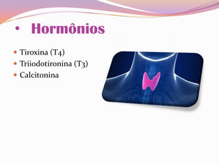 • Hormônios
 Tiroxina (T4)
 Triiodotironina (T3)
 Calcitonina
 