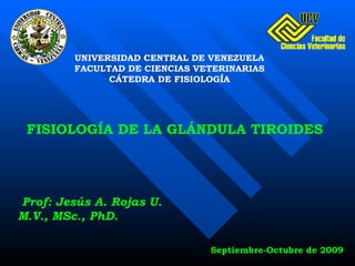 Prof: Jesús A. Rojas U. M.V., MSc., PhD. FISIOLOGÍA DE LA GLÁNDULA TIROIDES UNIVERSIDAD CENTRAL DE VENEZUELA FACULTAD DE CIENCIAS VETERINARIAS CÁTEDRA DE FISIOLOGÍA Septiembre-Octubre de 2009 
