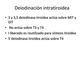 Deiodinación intratiroidea 3 y 3,5 deiodinasa tiroidea actúa sobre MIT y DIT No actúa sobre T3 y T4 I liberado es reutilizado para síntesis tiroidea 5´deiodinasa tiroidea actúa sobre T4  