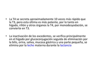 La T4 se secreta aproximadamente 10 veces más rápido que la T3, pero esta última es más potente, por lo tanto en hígado, riñón y otros órganos la T4, por monodesyodación, se convierte en T3. La inactivación de los excedentes, se verifica principalmente en el hígado por glucoconjugación seguida de eliminación por la bilis, orina, saliva, mucosa gástrica y una parte pequeña, se elimina por la  leche  materna durante la  lactancia 