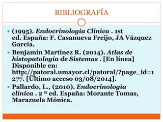 BIBLIOGRAFÍA
 (1995). Endocrinologia Clínica . 1st
ed. España: F. Casanueva Freijo, JA Vázquez
García.
 Benjamín Martínez R. (2014). Atlas de
histopatología de Sistemas . [En línea]
Disponible en:
http://patoral.umayor.cl/patoral/?page_id=1
277. [Último acceso 03/08/2014].
 Pallardo, L., (2010). Endocrinología
clínica . 2 ª ed. España: Morante Tomas,
Marazuela Mónica.
 