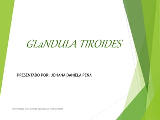 GLaNDULA TIROIDES
PRESENTADO POR: JOHANA DANIELA PEÑA
Universidad De Ciencias Aplicadas y Ambientales
 