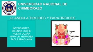 GLANDULA TIROIDES Y PARATIROIDES
INTEGRANTES:
MILENNA DUCHE
NOEMY OCAÑA
MARYURI HERMOSA
PAOLA AMAGUAÑA
UNIVERSIDAD NACIONAL DE
CHIMBORAZO
 