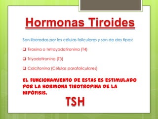Son liberadas por las células foliculares y son de dos tipos:
 Tiroxina o tetrayodotironina (T4)
 Triyodotironina (T3)
 Calcitonina (Células parafoliculares)
El funcionamiento de estas es estimulado
por la hormona tirotropina de la
hipófisis.
 