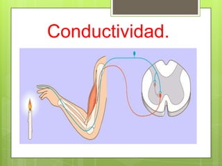 Conductividad.
 
