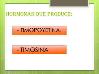 HORMONAS QUE PRODUCE:
- TIMOPOYETINA.
- TIMOSINA
 