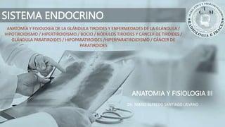 ANATOMIA Y FISIOLOGIA III
SISTEMA ENDOCRINO
DR. MARIO ALFREDO SANTIAGO LIEVANO
ANATOMÍA Y FISIOLOGÍA DE LA GLÁNDULA TIROIDES Y ENFERMEDADES DE LA GLÁNDULA /
HIPOTIROIDISMO / HIPERTIROIDISMO / BOCIO / NÓDULOS TIROIDES Y CÁNCER DE TIROIDES /
GLÁNDULA PARATIROIDES / HIPOPARATIROIDES /HIPERPARATIROIDISMO / CÁNCER DE
PARATIROIDES
 