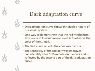 Dark adaptation curve
– Dark adaptation curve shows this duplex nature of
our visual system.
– One way to demonstrate that the rod mechanism
takes over at low luminance level, is to observe the
color of the stimuli.
– The first curve reflects the cone mechanism.
– The sensitivity of the rod pathway improves
considerably after 5-10 minutes in the dark and is
reflected by the second part of the dark adaptation
curve
 