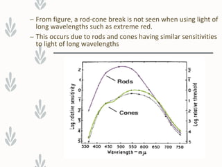 – From figure, a rod-cone break is not seen when using light of
long wavelengths such as extreme red.
– This occurs due to rods and cones having similar sensitivities
to light of long wavelengths
 