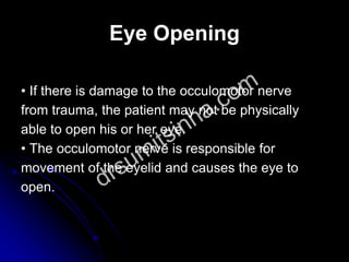 Eye Opening
• If there is damage to the occulomotor nerve
from trauma, the patient may not be physically
able to open his or her eye.
• The occulomotor nerve is responsible for
movement of the eyelid and causes the eye to
open.
 