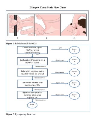 Glasgow Coma Scale Flow Chart to determin the severity of head injury.pdf