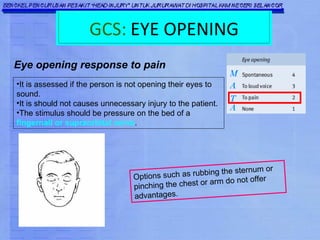 Glasgow Coma Scale | PPT