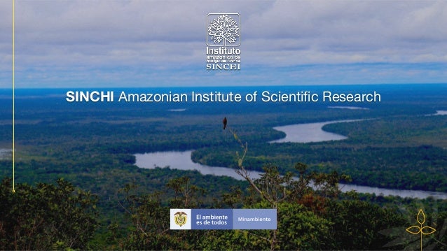 SINCHI Amazonian Institute of Scienti
fi
c Research
 