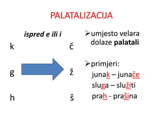 PALATALIZACIJA 
ispred e ili i 
k č 
g ž 
h š 
umjesto velara 
dolaze palatali 
primjeri: 
junak – junače 
sluga – služiti 
prah - prašina 
 