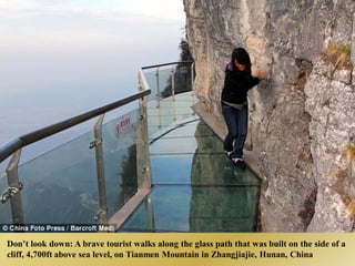 Don’t look down: A brave tourist walks along the glass path that was built on the side of a
cliff, 4,700ft above sea level, on Tianmen Mountain in Zhangjiajie, Hunan, China
 