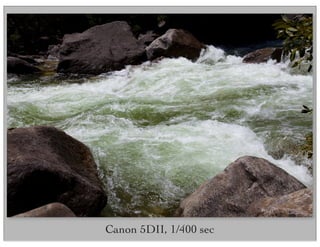 Canon 5DII, 1/400 sec
 