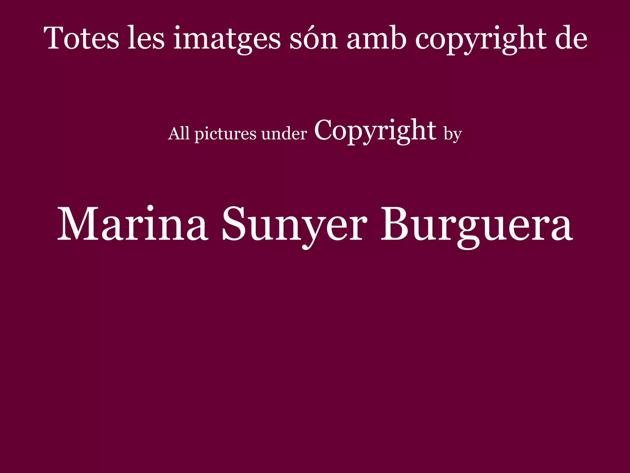 Totes les imatges són amb copyright de All pictures under Copyright by Marina Sunyer Burguera