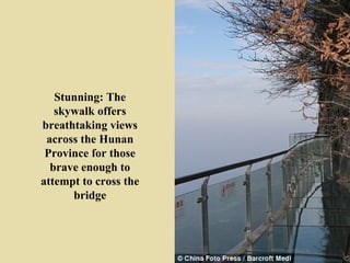 Stunning: The
   skywalk offers
breathtaking views
 across the Hunan
 Province for those
  brave enough to
attempt to cross the
      bridge
 