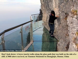 Don’t look down: A brave tourist walks along the glass path that was built on the side of a
cliff, 4,700ft above sea level, on Tianmen Mountain in Zhangjiajie, Hunan, China
 