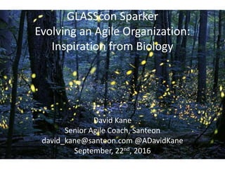 GLASScon Sparker
Evolving an Agile Organization:
Inspiration from Biology
David Kane
Senior Agile Coach, Santeon
david_kane@santeon.com @ADavidKane
September, 22nd, 2016
 