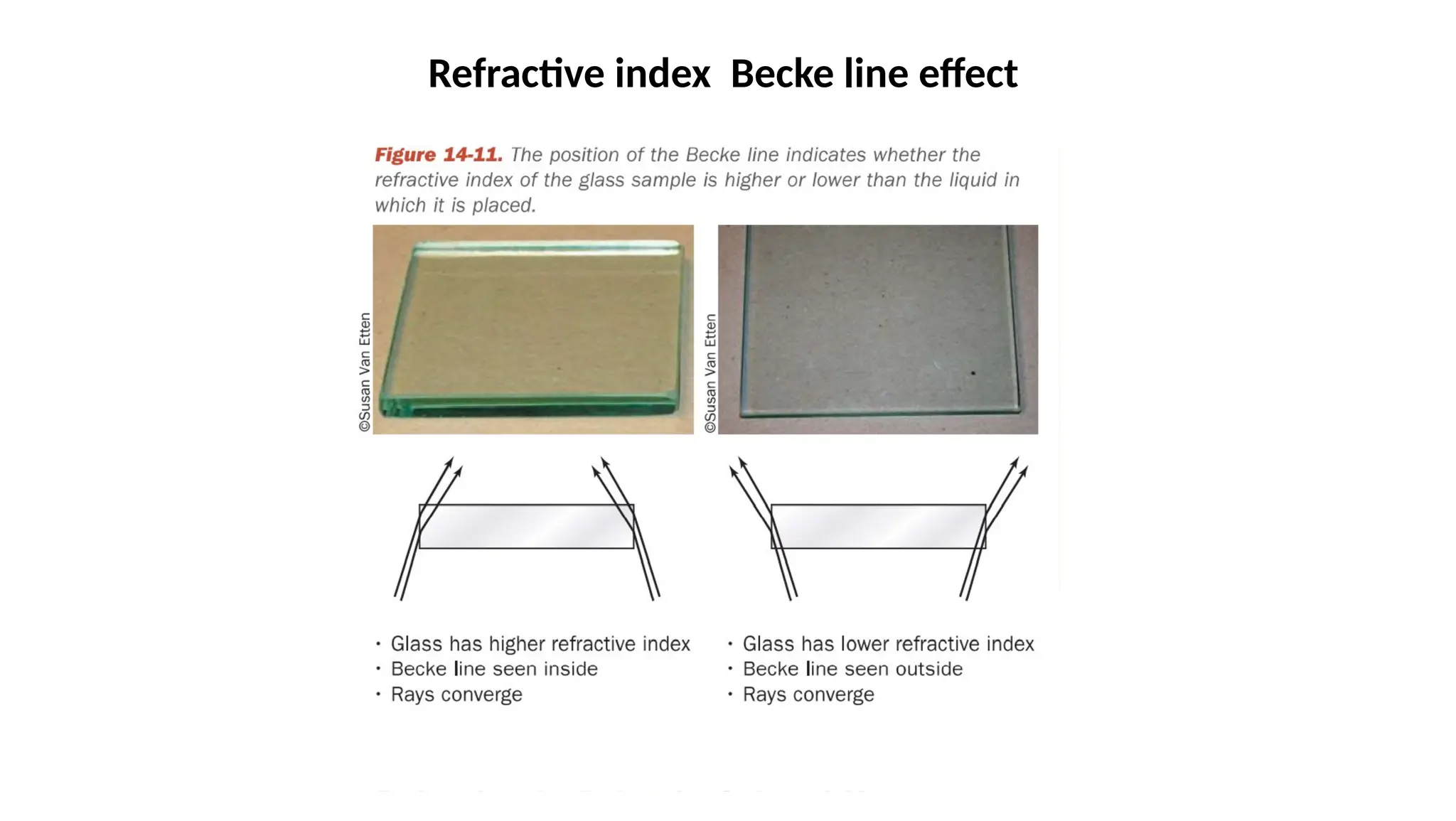 Glass Evidence- Importance and Examination.pptx