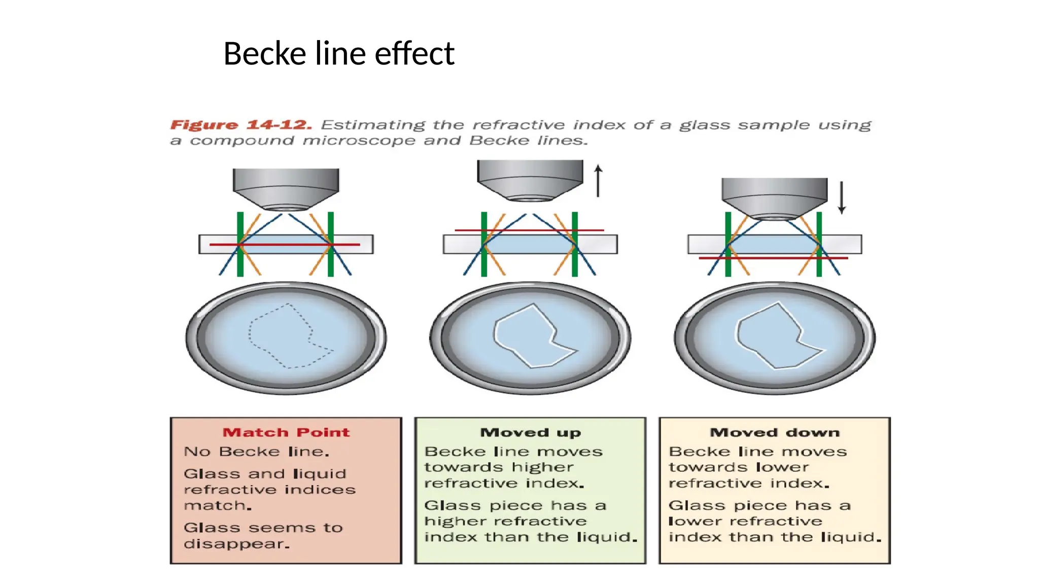 Glass Evidence- Importance and Examination.pptx
