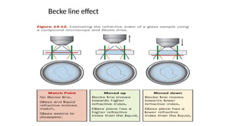 Glass Evidence- Importance and Examination.pptx