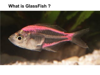 What is GlassFish ?
 