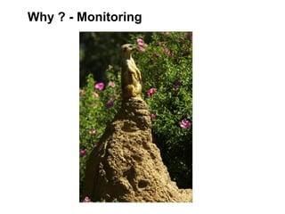 Why ? - Monitoring
 