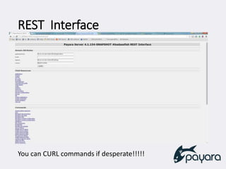 REST Interface
You can CURL commands if desperate!!!!!
 