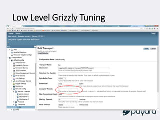 Low Level Grizzly Tuning
 