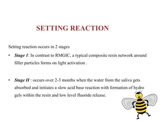 SETTING REACTION
Setting reaction occurs in 2 stages
• Stage 1: In contrast to RMGIC, a typical composite resin network around
filler particles forms on light activation .
• Stage II : occurs over 2-3 months when the water from the saliva gets
absorbed and initiates a slow acid base reaction with formation of hydro
gels within the resin and low level fluoride release.
 