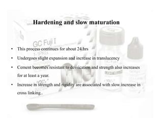 Hardening and slow maturation
• This process continues for about 24 hrs
• Undergoes slight expansion and increase in translucency
• Cement becomes resistant to dessication and strength also increases
for at least a year.
• Increase in strength and rigidity are associated with slow increase in
cross linking..
 