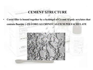• Cored filler is bound together by a hydrogel of Ca and Al poly acrylates that
contain fluorine :- FLUORO ALUMINO CALCIUM POLYACRYLATE
CEMENT STRUCTURE
 