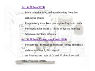 Acc. to Wilson(1974)
• Initial adhesion is by hydrogen bonding from free
carboxylic groups
• Progressively these bonds are replaced by ionic bonds
• Polymeric polar chains of acids bridge the interface
between cement and substrate
Acc. to Wilson, Prosser and Powis(1983)
• Polyacrylate displaces and replaces surface phosphate
and calcium from hydroxyapatite
• An intermediate layer of Ca and Al phosphates and
polyacrylates is formed.
 