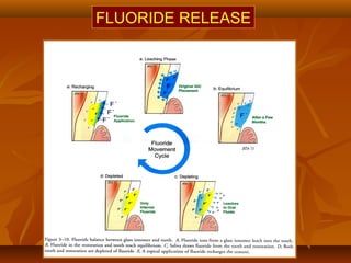 FLUORIDE RELEASE
 