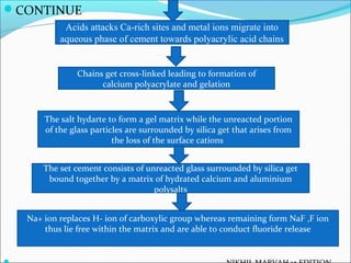 CONTINUE
Acids attacks Ca-rich sites and metal ions migrate into
aqueous phase of cement towards polyacrylic acid chains
Chains get cross-linked leading to formation of
calcium polyacrylate and gelation
The salt hydarte to form a gel matrix while the unreacted portion
of the glass particles are surrounded by silica get that arises from
the loss of the surface cations
The set cement consists of unreacted glass surrounded by silica get
bound together by a matrix of hydrated calcium and aluminium
polysalts
Na+ ion replaces H- ion of carboxylic group whereas remaining form NaF ,F ion
thus lie free within the matrix and are able to conduct fluoride release
 