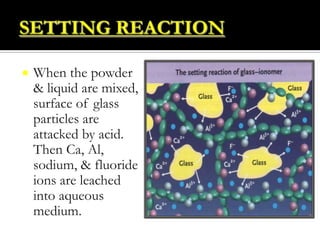 

When the powder
& liquid are mixed,
surface of glass
particles are
attacked by acid.
Then Ca, Al,
sodium, & fluoride
ions are leached
into aqueous
medium.

 