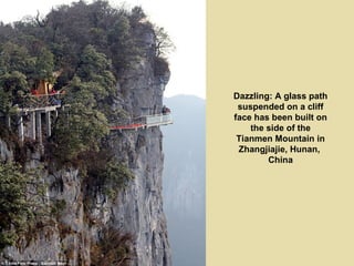 Dazzling: A glass path
 suspended on a cliff
face has been built on
    the side of the
 Tianmen Mountain in
 Zhangjiajie, Hunan,
        China
 